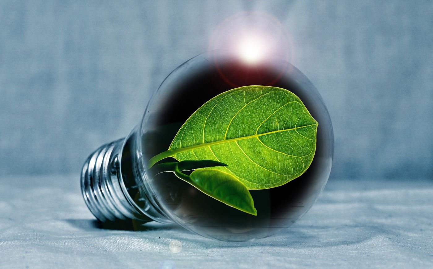 ELECTRIC EFFICIENCY